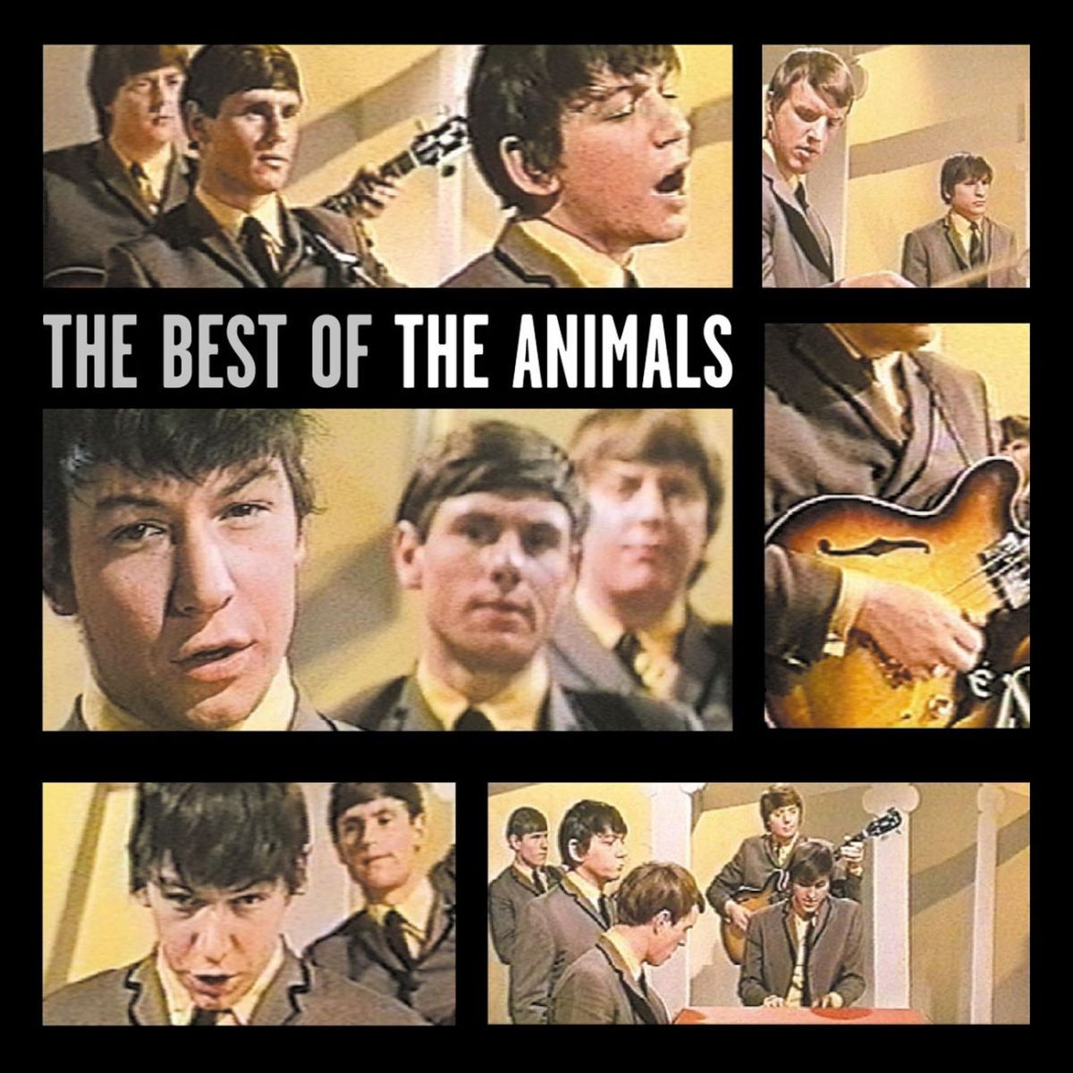 Animals